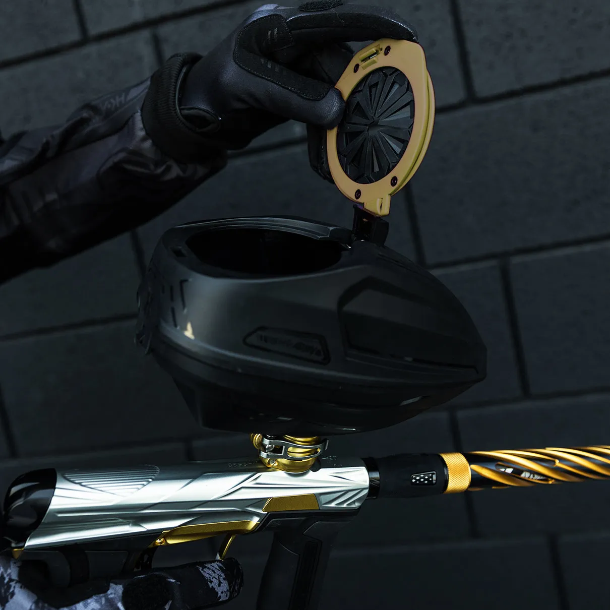 Epic Speed Feed - PRO - Gold