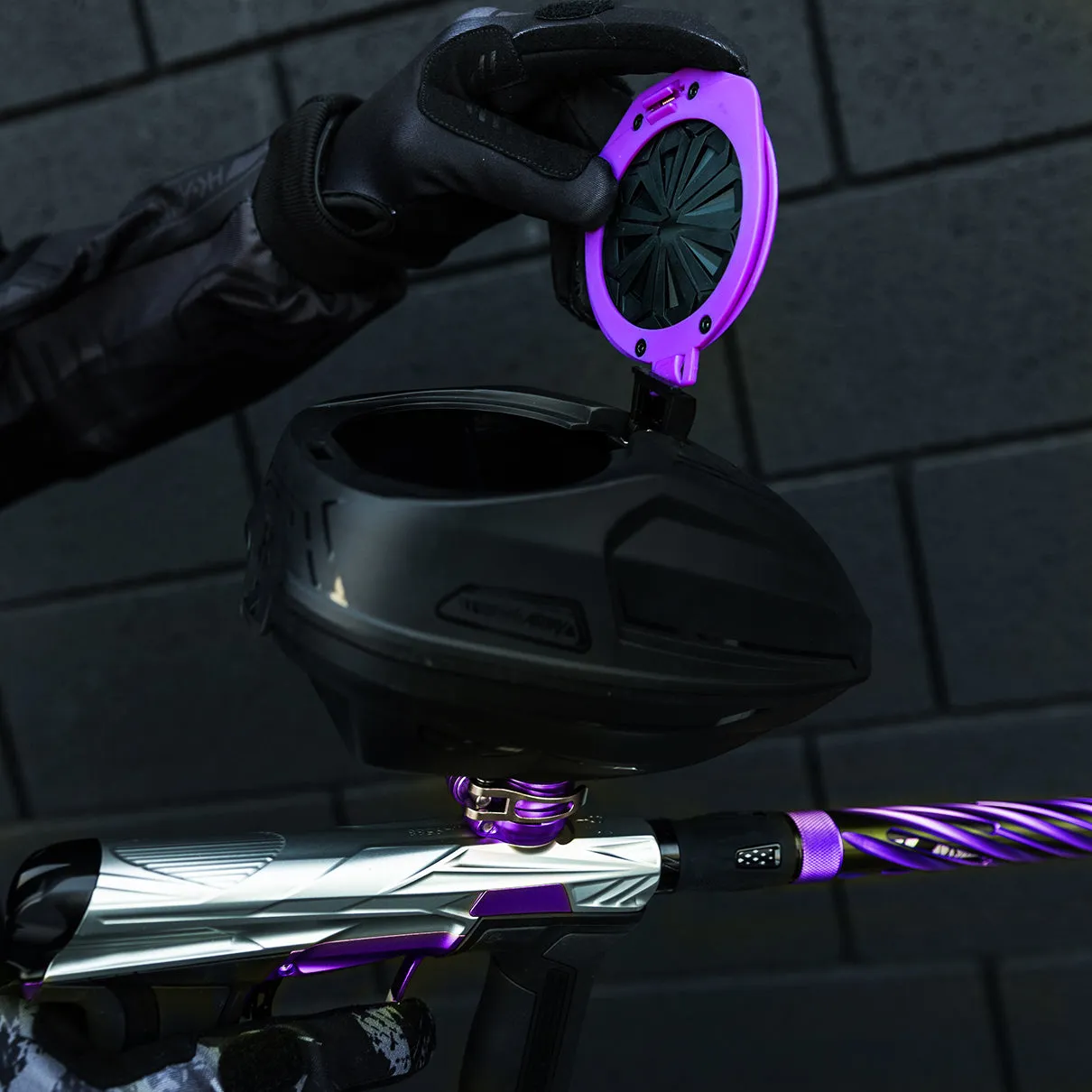 Epic Speed Feed - PRO - Purple